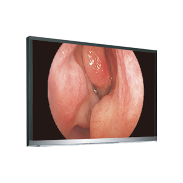 4K UHD LCD Monitor