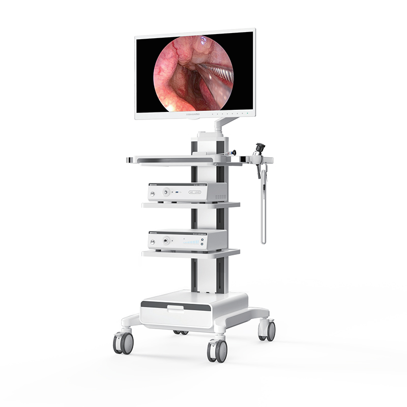 4K UHD LCD Monitor