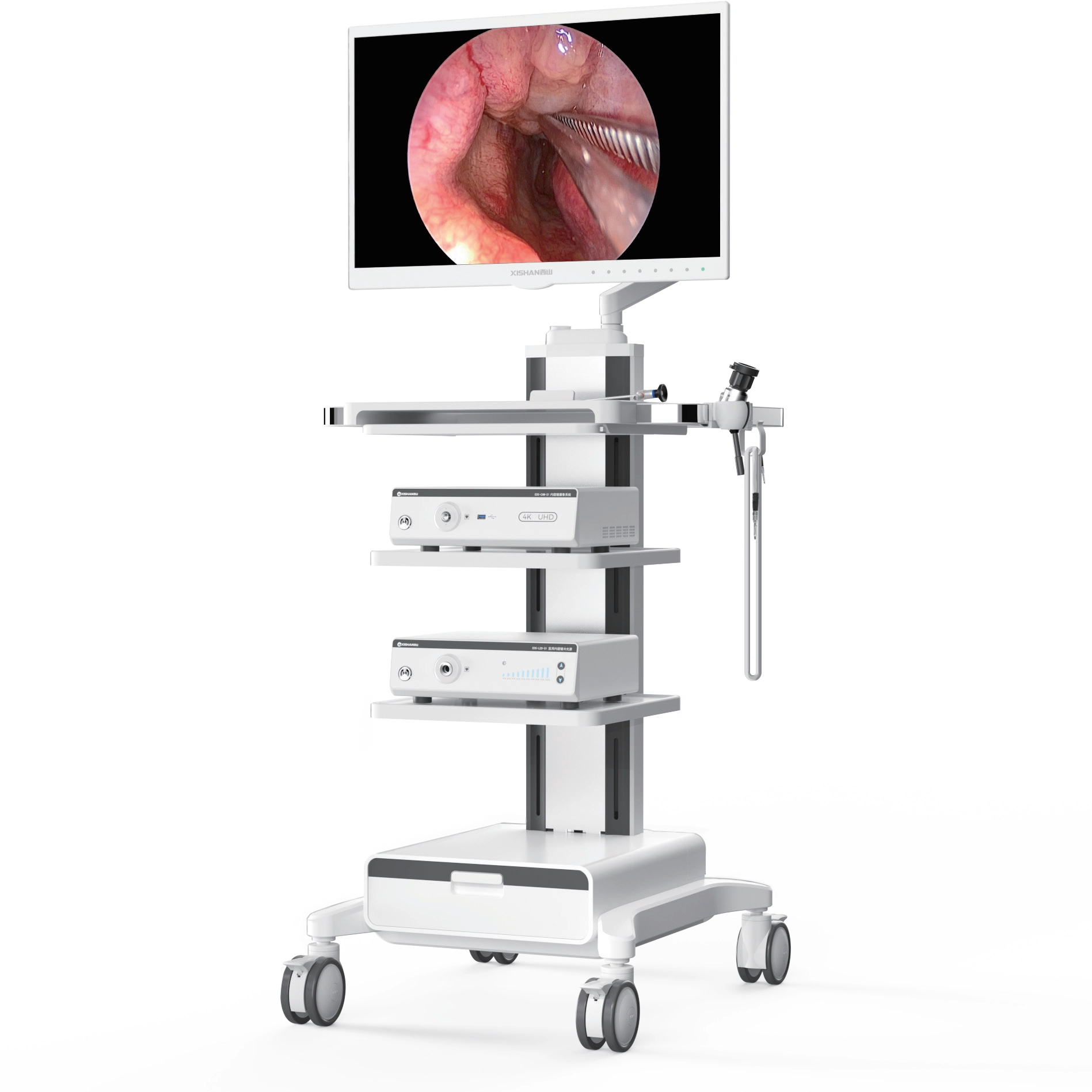 4K UHD -Endoskopie -System